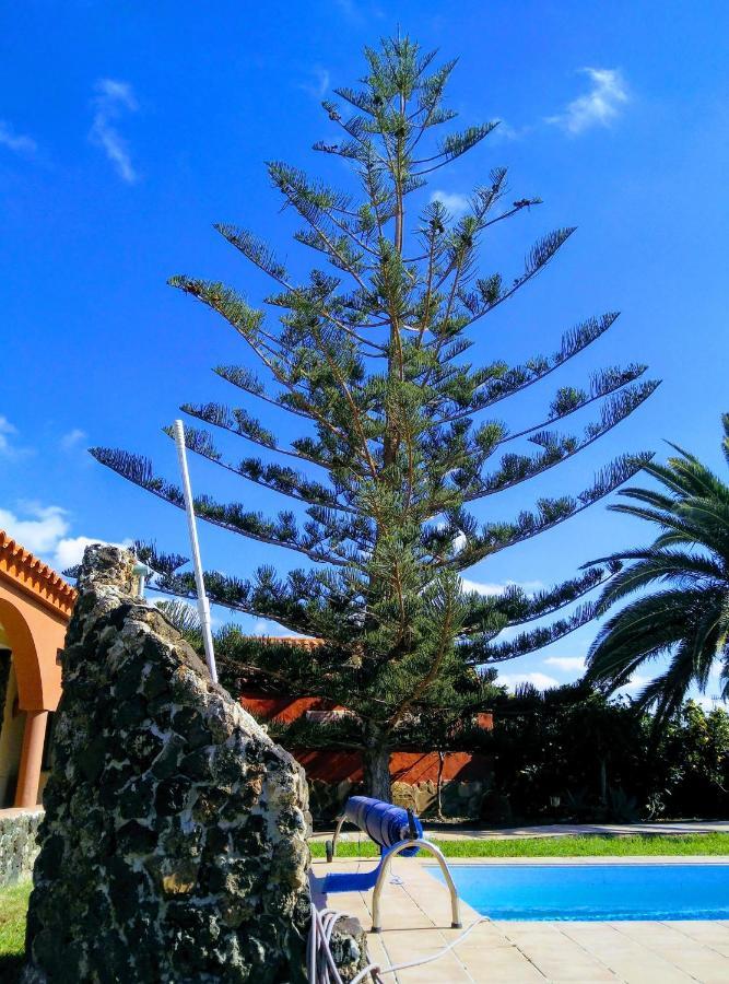 Casa Mami Villa Lajares Dış mekan fotoğraf